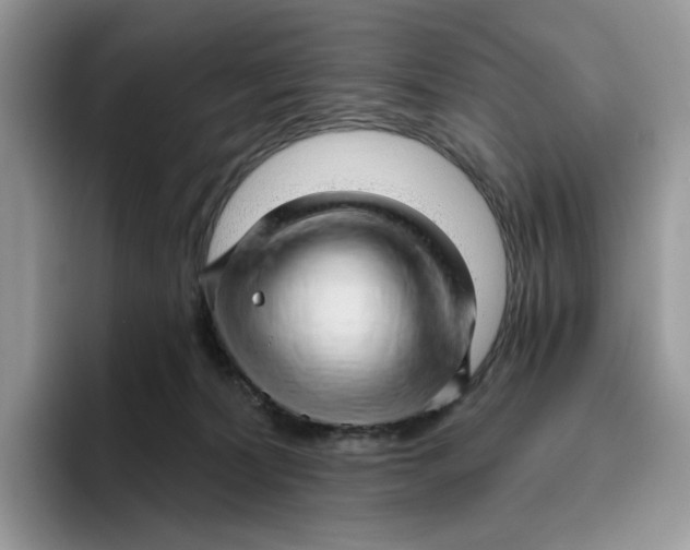 X0000095960228200802011128