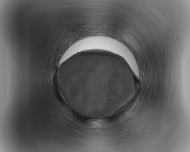 X0000095960229200802011128