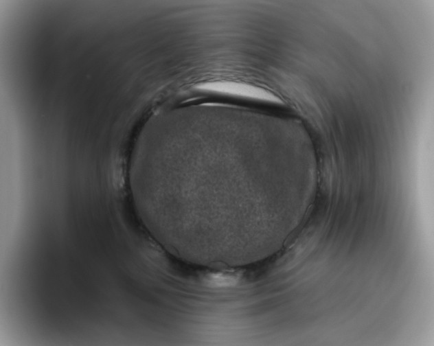 X0000095960232200802011128