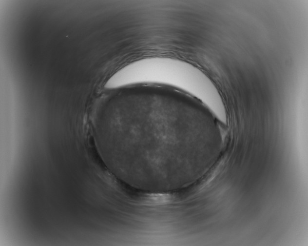 X0000095960233200802011128