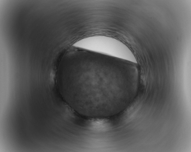 X0000095960235200802011128