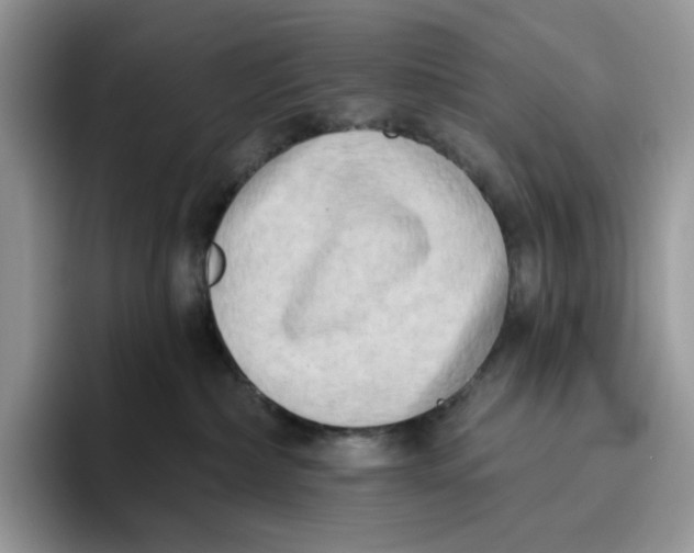 X0000095960236200802011128