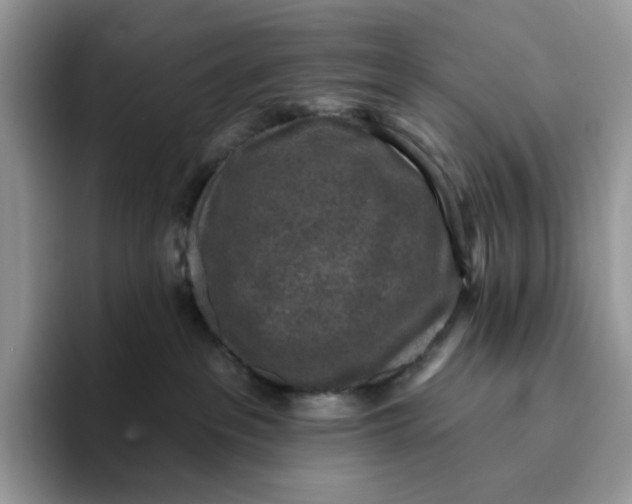 X0000095960237200802011128