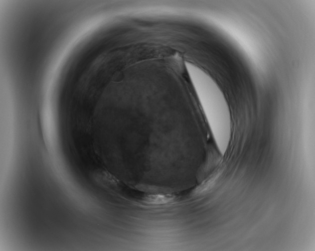 X0000095960239200802011128