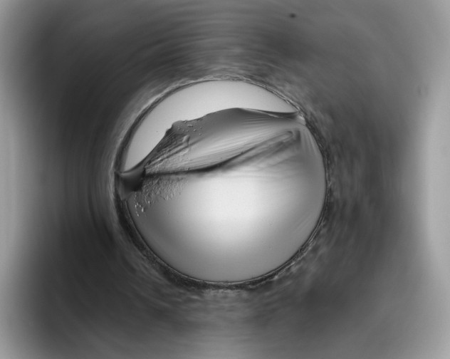 X0000095960242200802011127