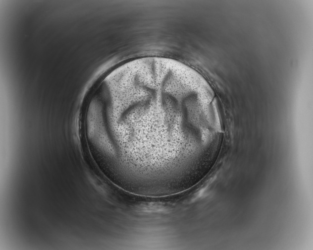 X0000095960244200802011127