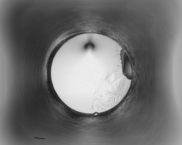 X0000095960246200802011127