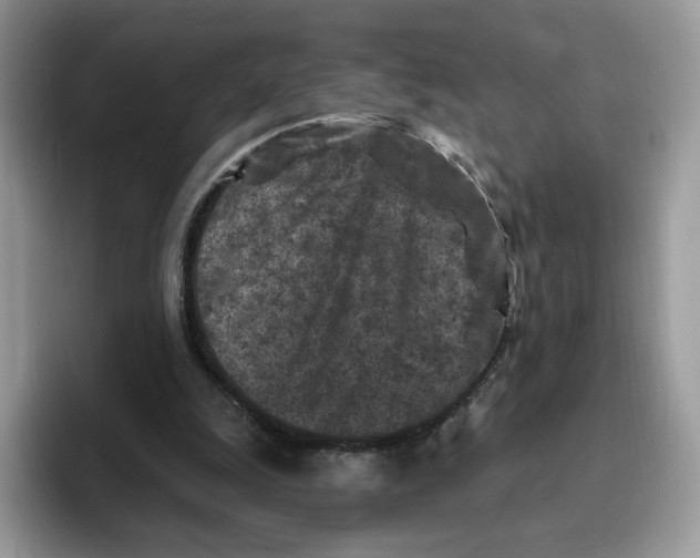 X0000095960247200802011127