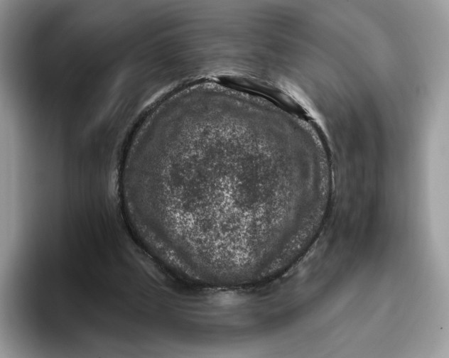 X0000095960249200802011127