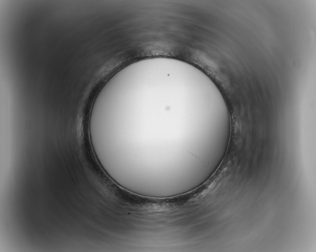 X0000095960250200802011127