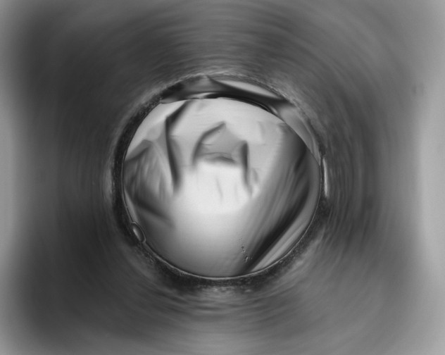 X0000095960252200802011127