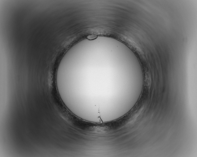 X0000095960255200802011128