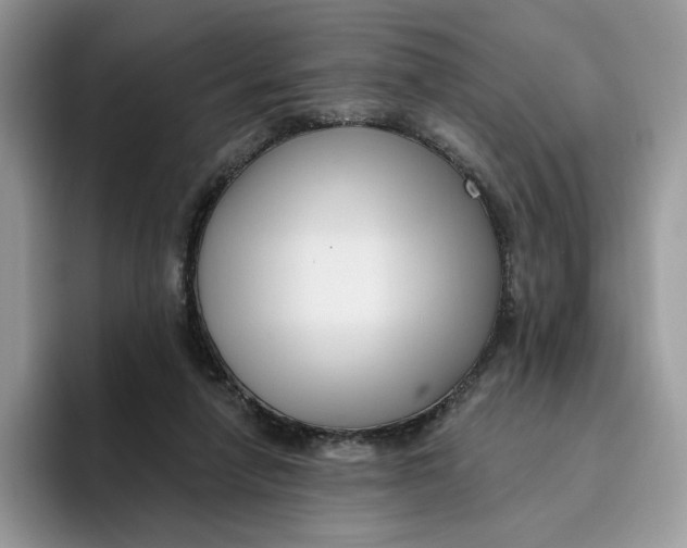 X0000095960258200802011128