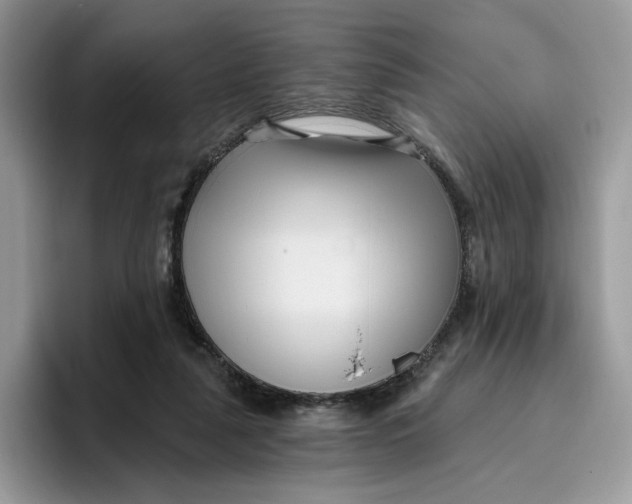 X0000095960259200802011128