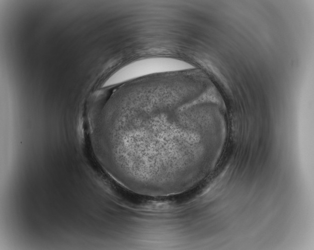 X0000095960260200802011128