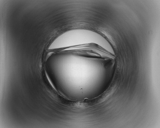 X0000095960261200802011128