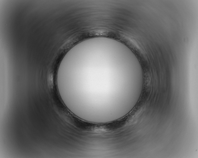 X0000095960262200802011128