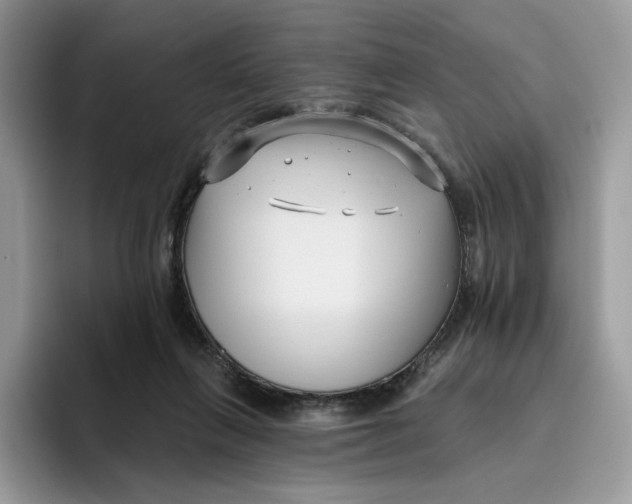 X0000095960263200802011128