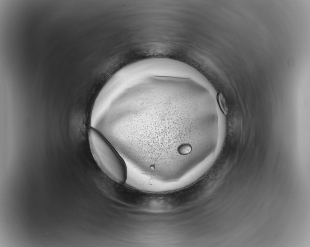 X0000095960264200802011128