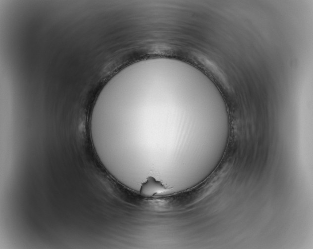 X0000095960265200802011128