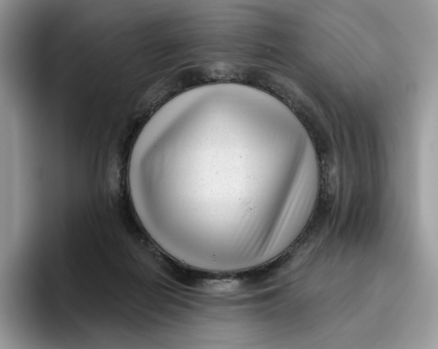 X0000095960266200802011128