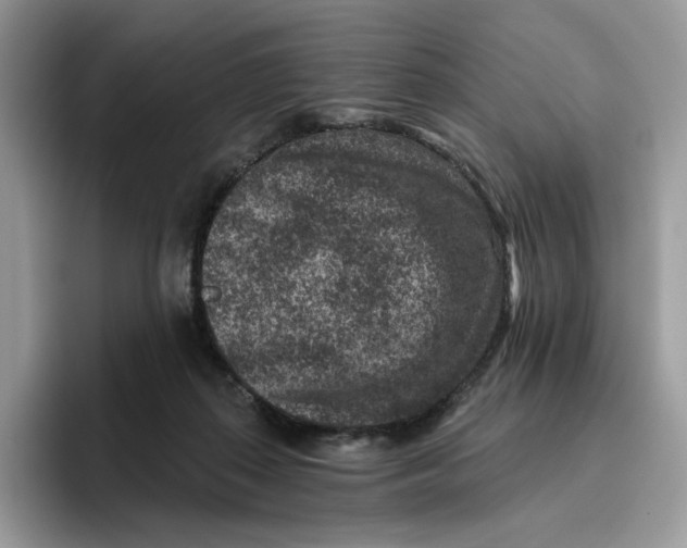 X0000095960267200802011128