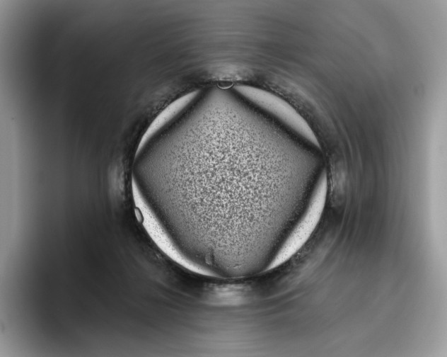 X0000095960268200802011128