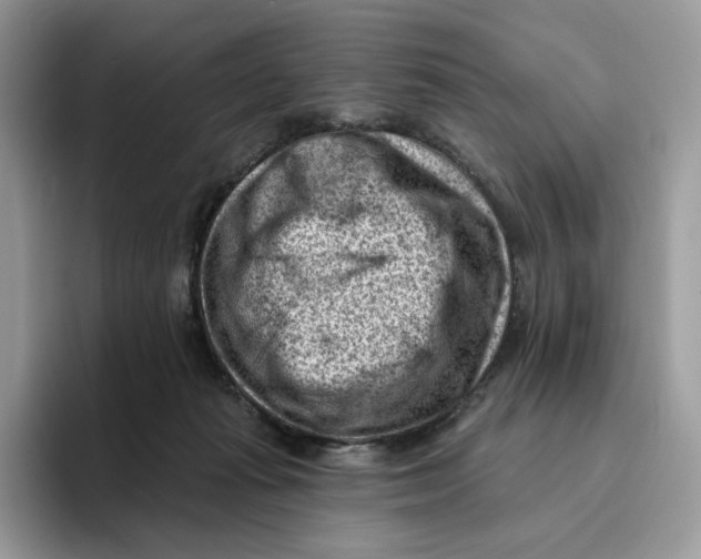 X0000095960269200802011128