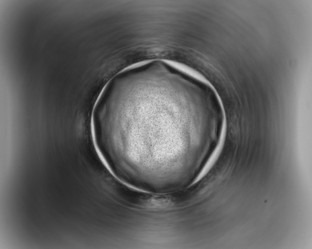 X0000095960270200802011128