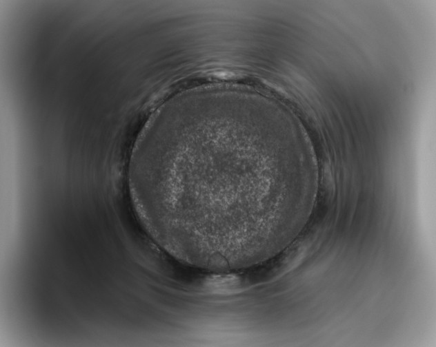 X0000095960271200802011128