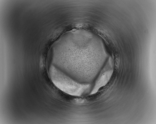 X0000095960272200802011128