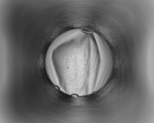 X0000095960273200802011128