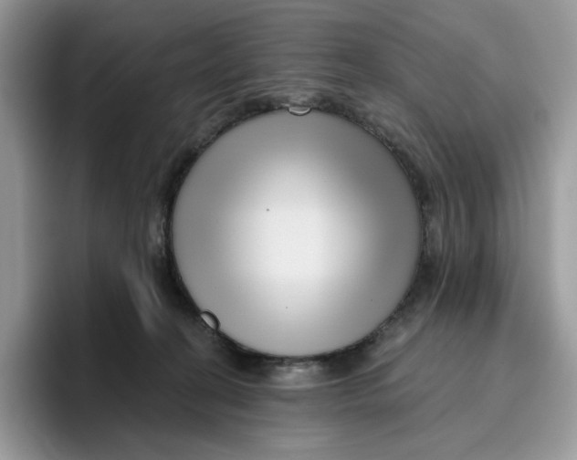 X0000095960274200802011128