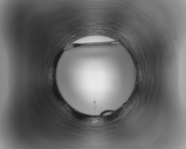 X0000095960275200802011128