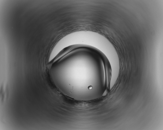 X0000095960276200802011128