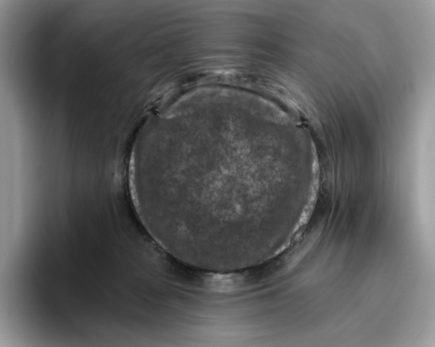 X0000095960277200802011128