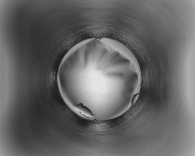 X0000095960278200802011128