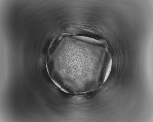 X0000095960280200802011128