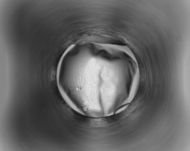 X0000095960281200802011128