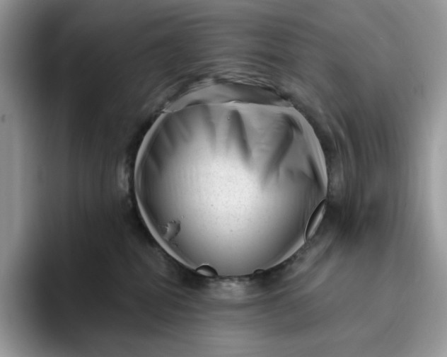 X0000095960282200802011128