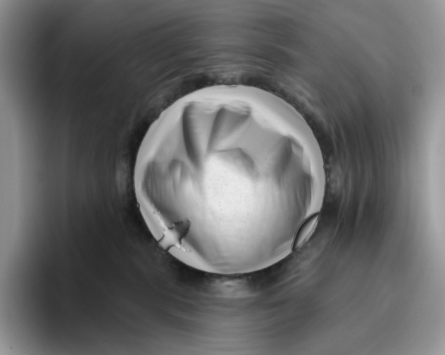 X0000095960283200802011128