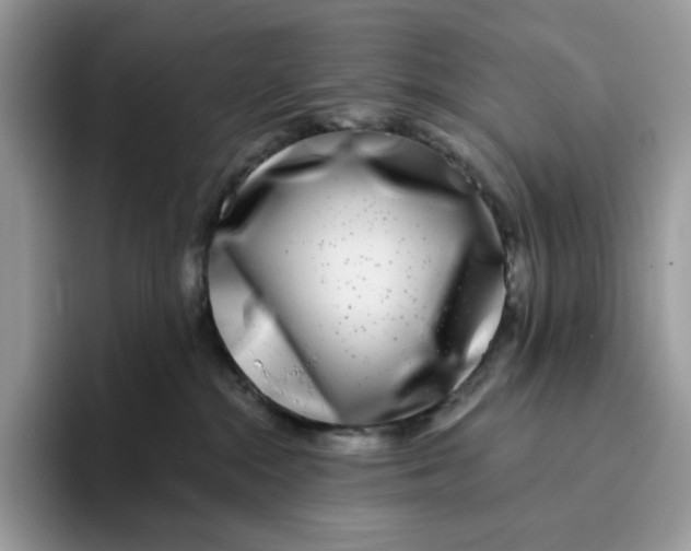 X0000095960284200802011128