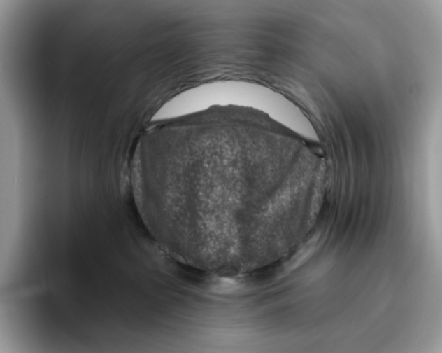 X0000095960285200802011128