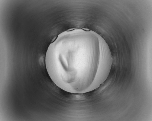 X0000095960286200802011128