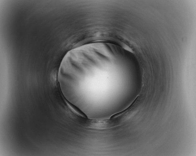 X0000095960288200802011128