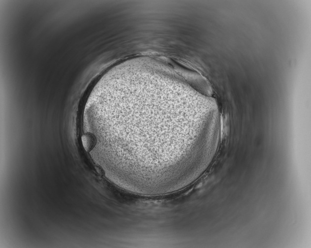 X0000095960291200802011127