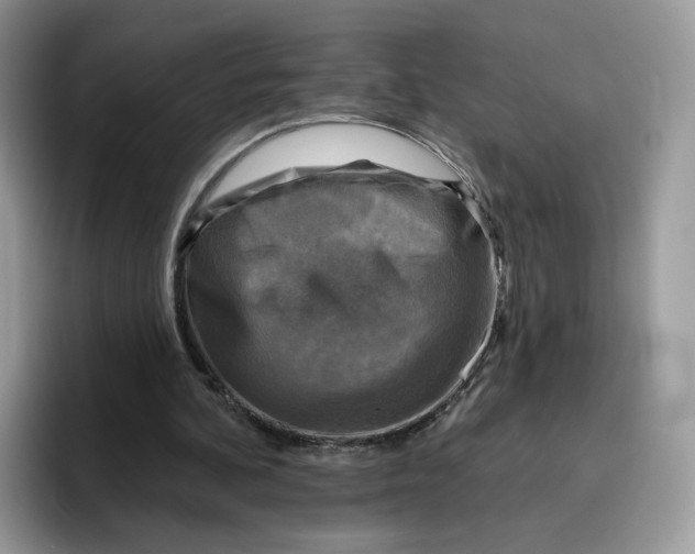 X0000095960292200802011127