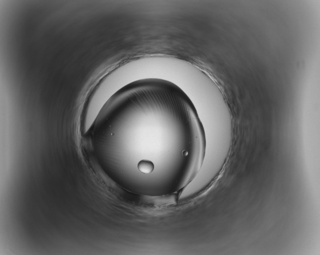 X0000095960293200802011127