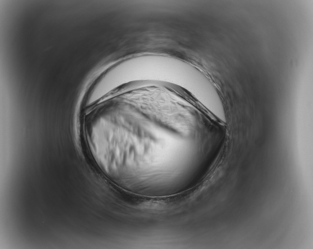 X0000095960294200802011127