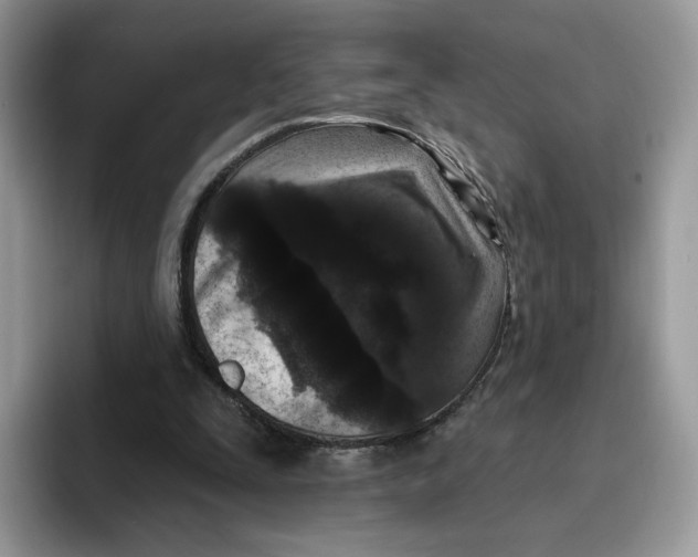 X0000095960295200802011127